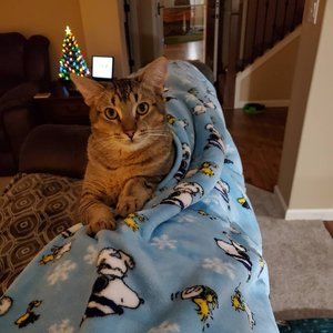 Meet your Posher, Jim